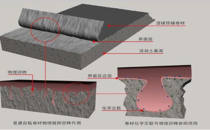 5fd97b228c093.jpg 是.jpg