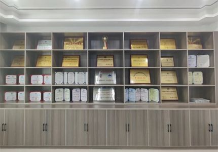 风雨共辉煌，盛世兰雨荣誉20载！